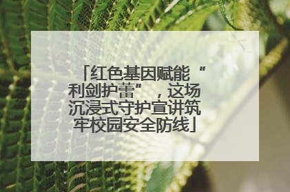 红色基因赋能“利剑护蕾”，这场沉浸式守护宣讲筑牢校园安全防线