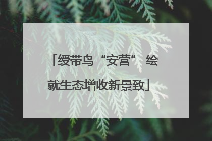 绶带鸟“安营” 绘就生态增收新景致