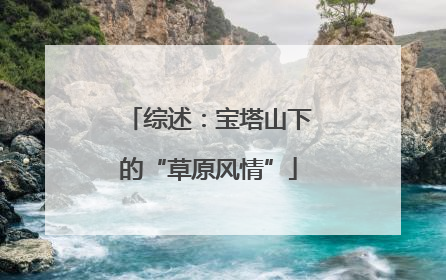 综述：宝塔山下的“草原风情”