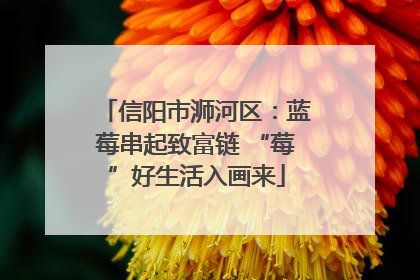 信阳市浉河区：蓝莓串起致富链 “莓”好生活入画来