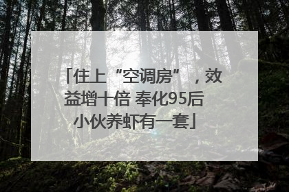 住上“空调房”，效益增十倍 奉化95后小伙养虾有一套