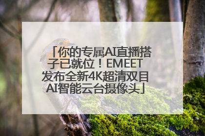 你的专属AI直播搭子已就位！EMEET发布全新4K超清双目AI智能云台摄像头