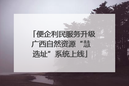 便企利民服务升级 广西自然资源“慧选址”系统上线