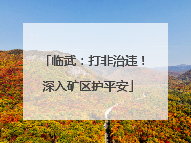 临武：打非治违！深入矿区护平安