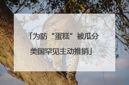 为防“蛋糕”被瓜分 美国罕见主动推销