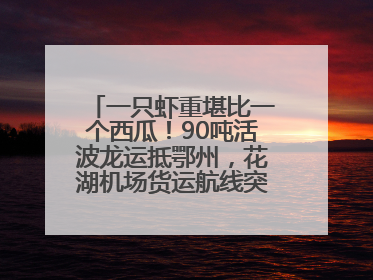 一只虾重堪比一个西瓜！90吨活波龙运抵鄂州，花湖机场货运航线突破100条