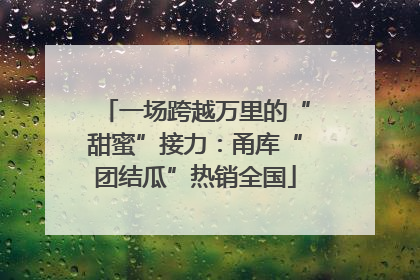 一场跨越万里的“甜蜜”接力：甬库“团结瓜”热销全国