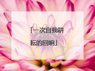 一次自我耕耘的回响