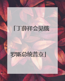 丁薛祥会见俄罗斯总统普京
