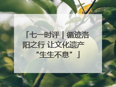 七一时评｜循迹洛阳之行 让文化遗产“生生不息”