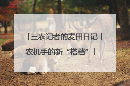 三农记者的麦田日记丨农机手的新“搭档”