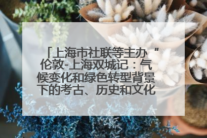 上海市社联等主办“伦敦-上海双城记：气候变化和绿色转型背景下的考古、历史和文化遗产”学术对话