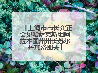上海市市长龚正会见哈萨克斯坦阿拉木图州州长苏尔丹加济耶夫