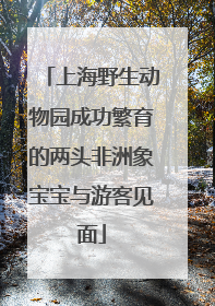 上海野生动物园成功繁育的两头非洲象宝宝与游客见面