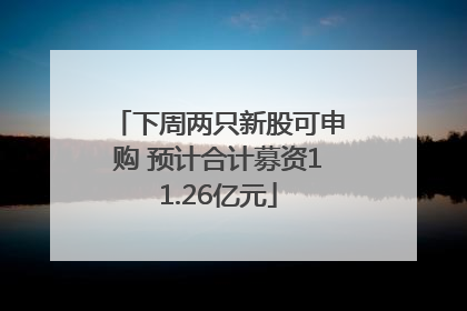 下周两只新股可申购 预计合计募资11.26亿元