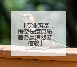 专业筑基，悟空祛痘品质服务赢消费者信赖