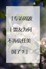 专访周波丨盟友为何不再信任美国了？