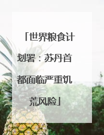 世界粮食计划署：苏丹首都面临严重饥荒风险