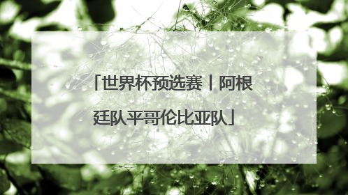 世界杯预选赛丨阿根廷队平哥伦比亚队