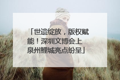 世遗绽放，版权赋能！深圳文博会上 泉州鲤城亮点纷呈