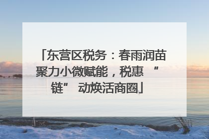 东营区税务：春雨润苗聚力小微赋能，税惠 “链” 动焕活商圈