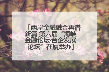 两岸金融融合再谱新篇 第六届“海峡金融论坛·台企发展论坛”在厦举办
