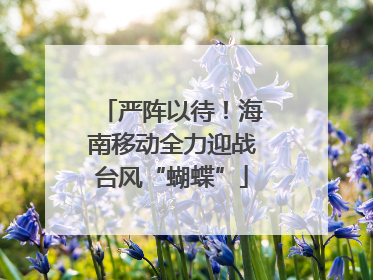 严阵以待！海南移动全力迎战台风“蝴蝶”