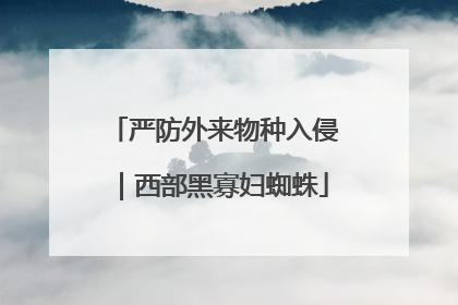 严防外来物种入侵｜西部黑寡妇蜘蛛