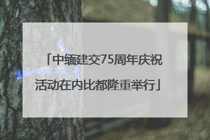 中缅建交75周年庆祝活动在内比都隆重举行