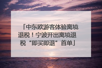 中东欧游客体验离境退税！宁波开出离境退税“即买即退”首单