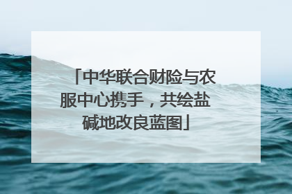 中华联合财险与农服中心携手，共绘盐碱地改良蓝图