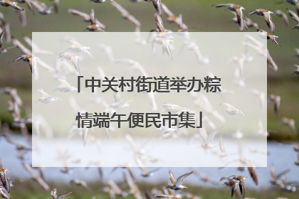 中关村街道举办粽情端午便民市集