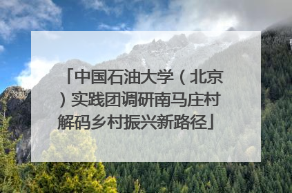 中国石油大学（北京）实践团调研南马庄村解码乡村振兴新路径