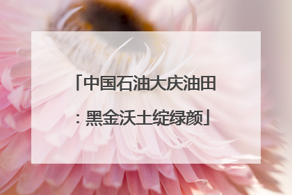 中国石油大庆油田：黑金沃土绽绿颜