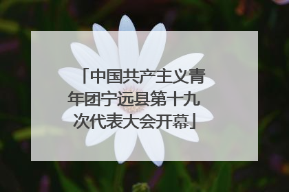 中国共产主义青年团宁远县第十九次代表大会开幕