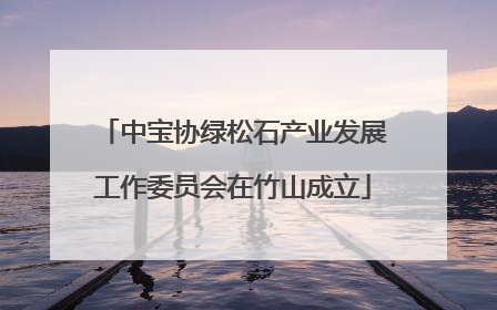 中宝协绿松石产业发展工作委员会在竹山成立