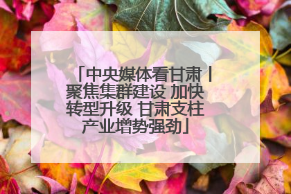 中央媒体看甘肃丨聚焦集群建设 加快转型升级 甘肃支柱产业增势强劲
