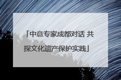 中意专家成都对话 共探文化遗产保护实践