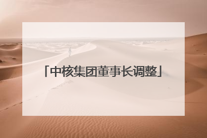 中核集团董事长调整