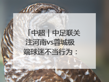 中超｜中足联关注河南vs蓉城极端球迷不当行为：强烈谴责！
