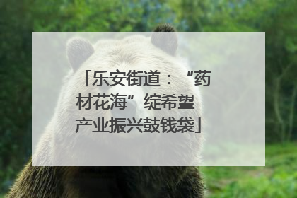 乐安街道：“药材花海”绽希望 产业振兴鼓钱袋