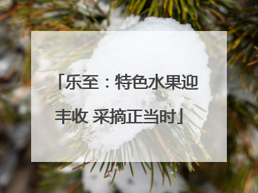 乐至：特色水果迎丰收 采摘正当时