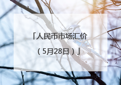 人民币市场汇价（5月28日）