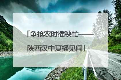 争抢农时插秧忙——陕西汉中夏播见闻