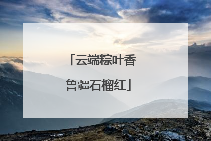 云端粽叶香 鲁疆石榴红