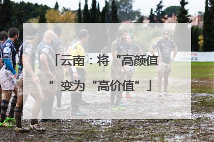 云南：将“高颜值”变为“高价值”
