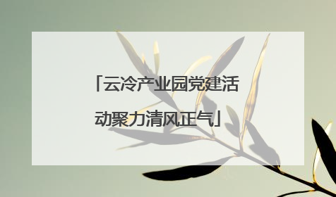 云冷产业园党建活动聚力清风正气