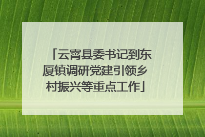 云霄县委书记到东厦镇调研党建引领乡村振兴等重点工作