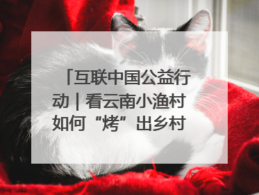 互联中国公益行动｜看云南小渔村如何“烤”出乡村振兴新滋味