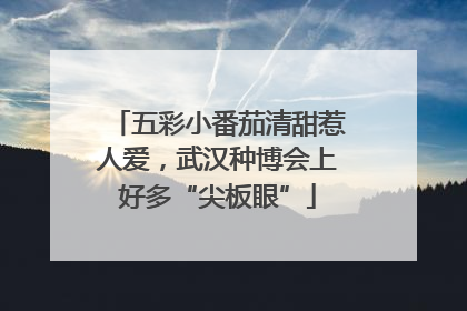 五彩小番茄清甜惹人爱，武汉种博会上好多“尖板眼”